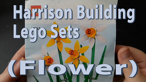 Harrison Building Lego Sets (Flower)