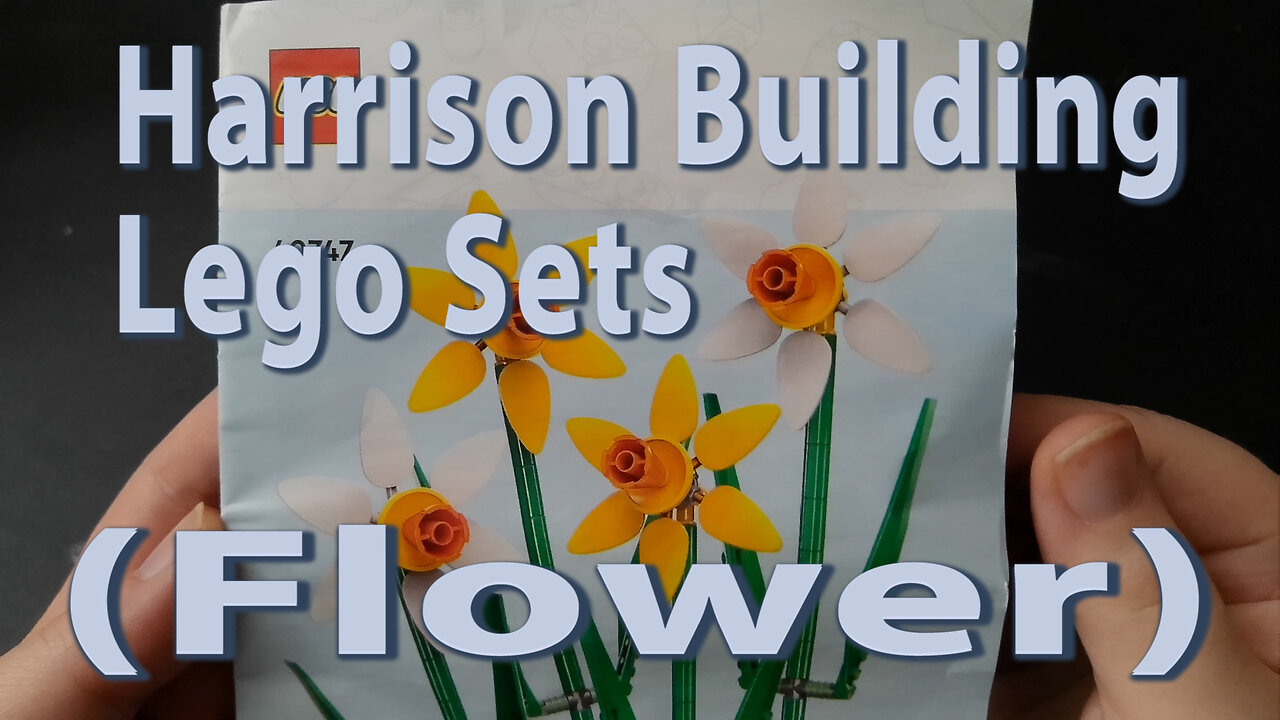 Harrison Building Lego Sets (Flower)