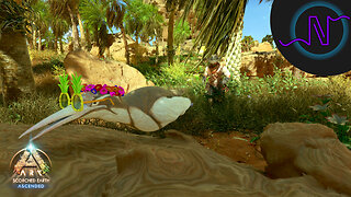 Chasing the New Penguin in the Summer Bash Event! - ARK: Survival Ascended Scorched Earth LE144