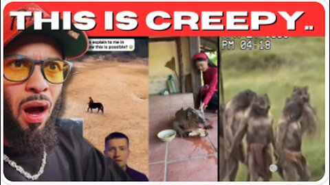 T!K T0KS SO CREEPY THEY WILL MAKE YOU QUESTION REALITY! - Wright7x