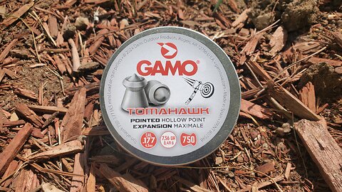 First Impressions: GAMO Tomahawk .177 Caliber HYBRID Pellet Review!