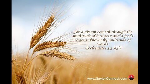 Sunday Talk with Jamal Ecclesiastes 5:3 fool's voice is known by multitude of words. 30/11/12