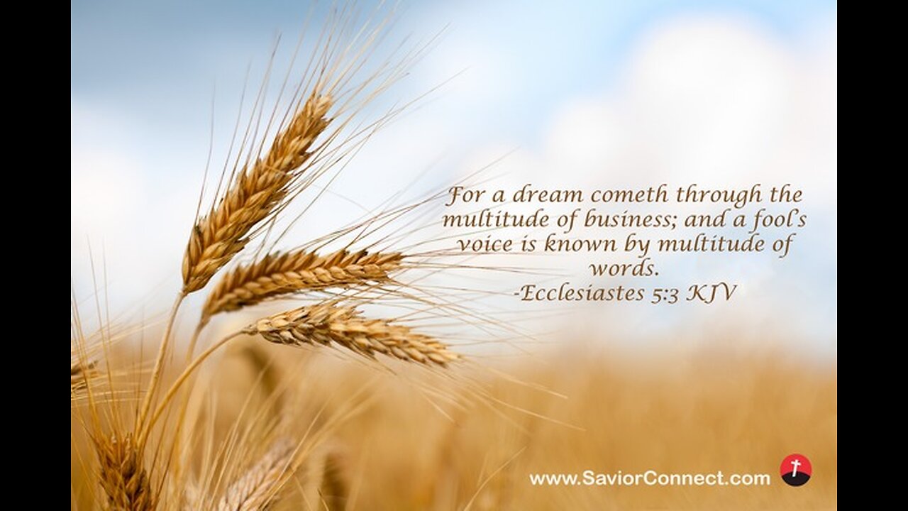 Sunday Talk with Jamal Ecclesiastes 5:3 fool's voice is known by multitude of words. 30/11/12