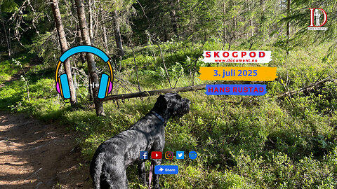 Skogpod 3. juli 2025