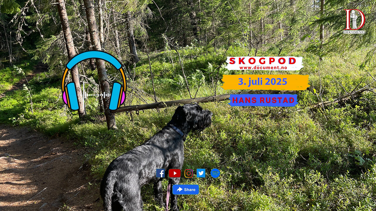 Skogpod 3. juli 2025