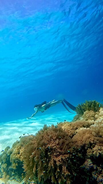 Into the Blue: A Freediving Adventure