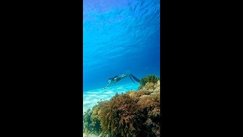 Into the Blue: A Freediving Adventure