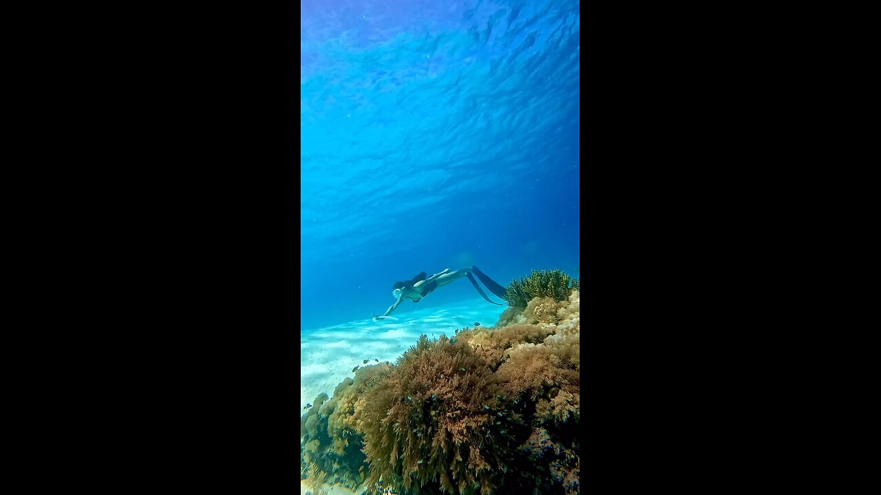 Into the Blue: A Freediving Adventure