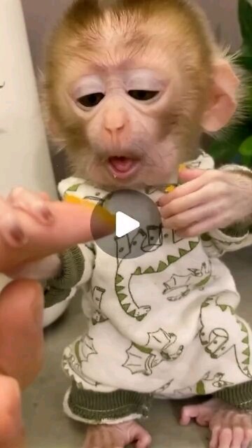 Every bite is a taste of happiness