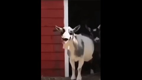 Borderlands 4 Playthrough Day 4