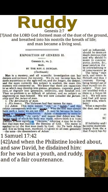 Entertainment: Ruddy?