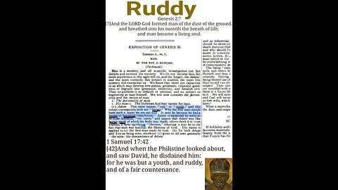 Entertainment: Ruddy?