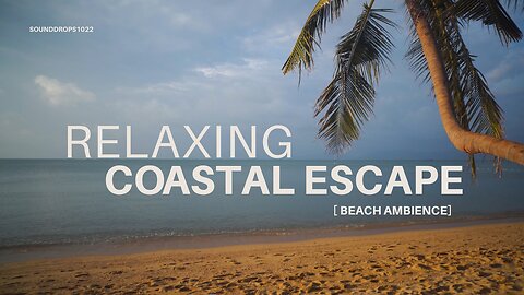 2 Hours of Soothing Beach Ambience – Perfect for Focus & Sleep