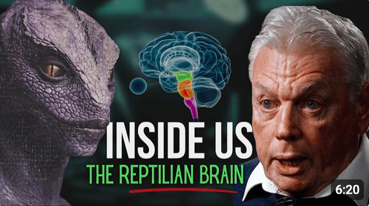 The Human Reptilian Brain Rules the World | David Icke