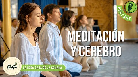 Meditación y Cerebro