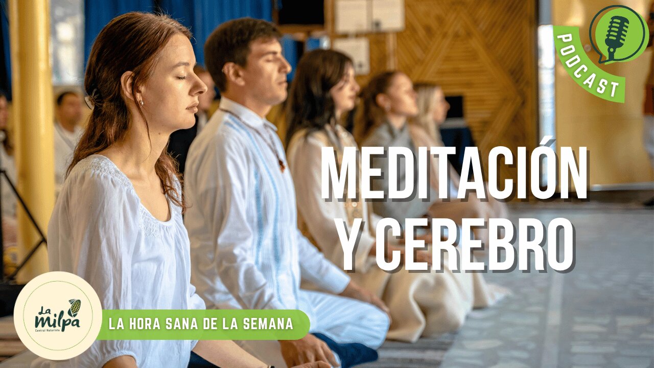 Meditación y Cerebro