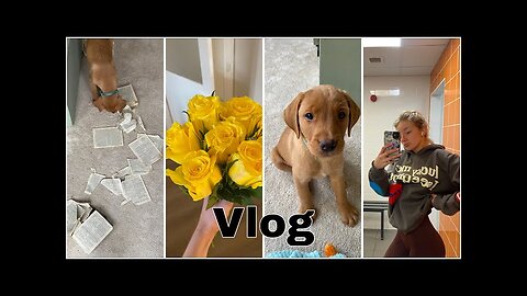 VLOG - WE GOT A PUPPY