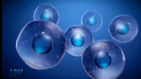 "Debunking Myths: Dr. Theresa Deisher on COVID-19 Vaccines and Aborted Fetal Cells"