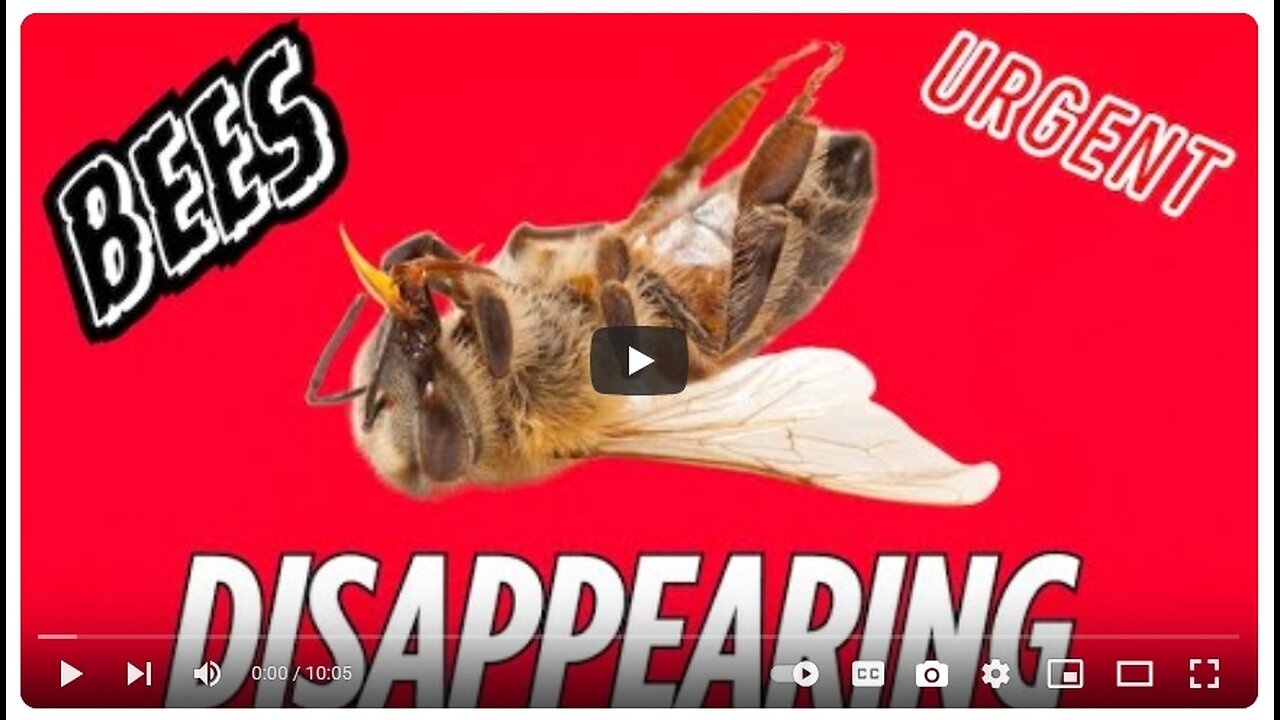 If this CONTINUES the world as we know will change forever! - MrMBB333