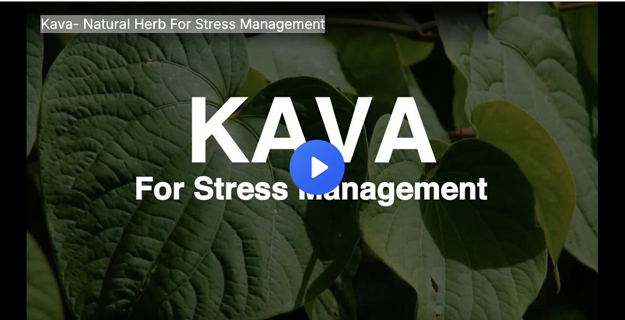 Kava- Natural Herb For Stress Management