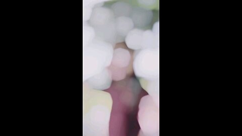 Morom dili #trending #viral #viralreels #video #shorts #mt15 #mt15lovers #mt15india #mt15owners