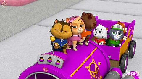 PAW Patrol Cartoons