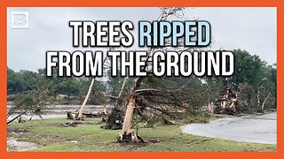 Trees Ripped Sideways Shows Crazy Strength of Texas Flood