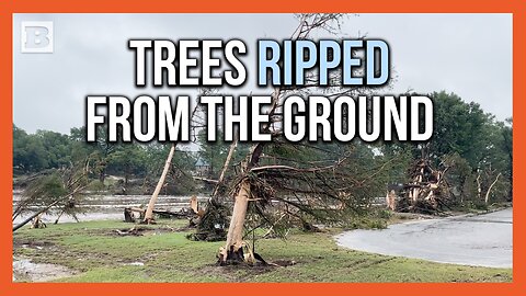 Trees Ripped Sideways Shows Crazy Strength of Texas Flood