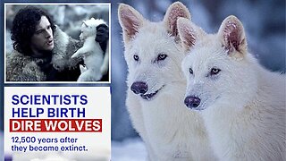 Scientists Return REAL Dire Wolves From Extinction After 13,000 Years - World's 1st "De Extinction"