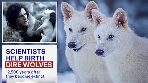 Scientists Return REAL Dire Wolves From Extinction After 13,000 Years - World's 1st "De Extinction"