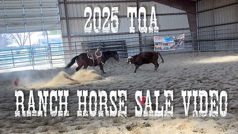 2025 TQA Ranch Horse Sale Video