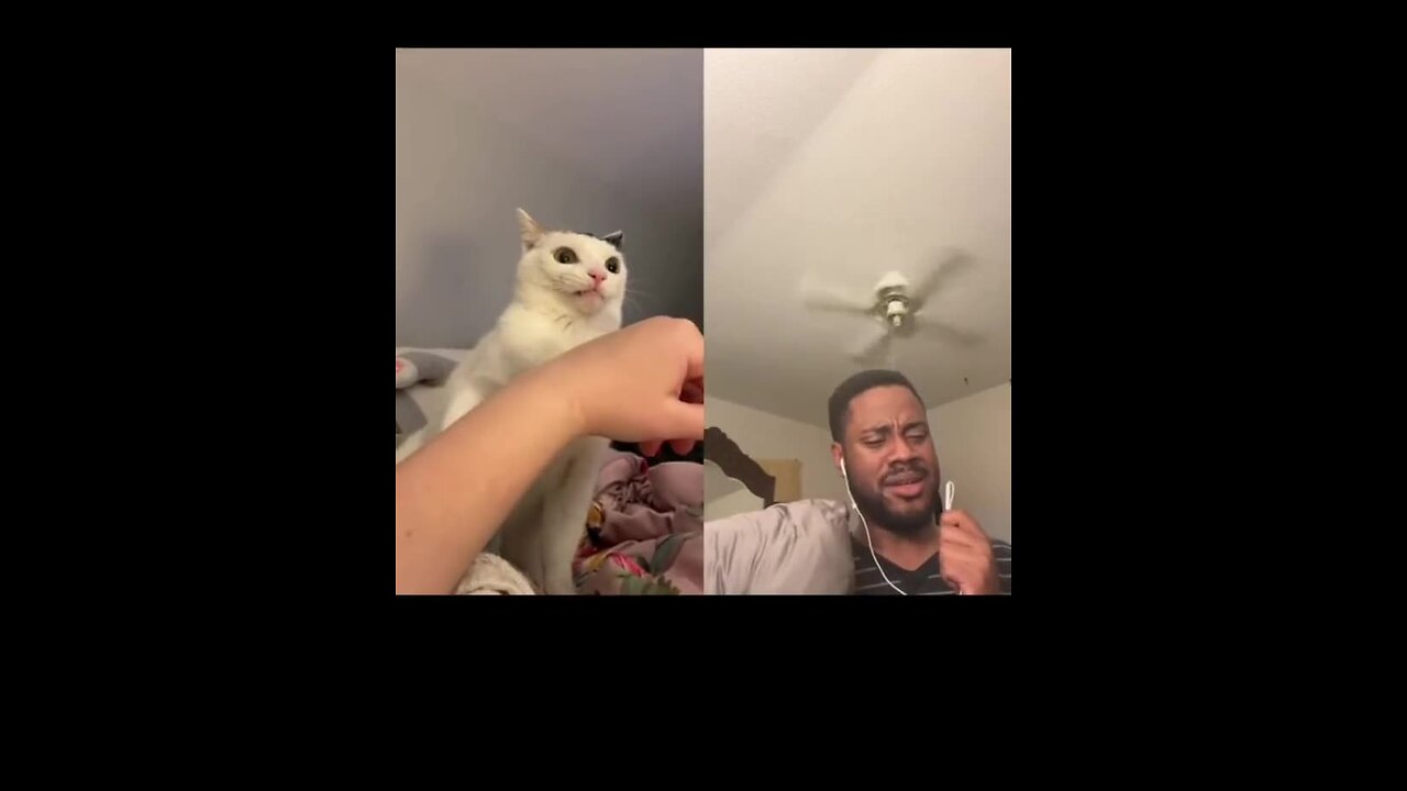 #STAYAMERICAN IT'S MARCH 29TH, 2025. DO YOU KNOW WHERE YOUR LOYALTIES LIE?