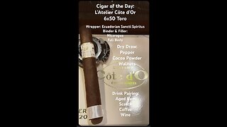 L’Atelier Côte d’Or 6x50 Toro #CigarOfTheDay #CigarReview #Shorts #Short #YTShorts #Review