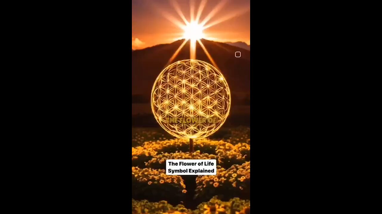 🌸 The Flower of Life: Ancient Symbol of Creation 🌸