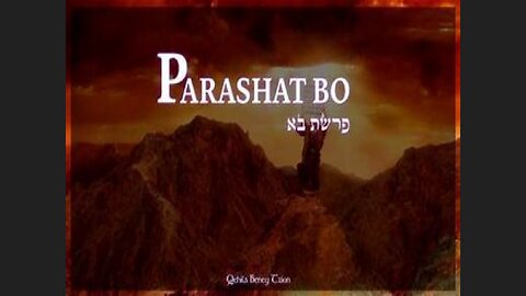 Parashat. Bo