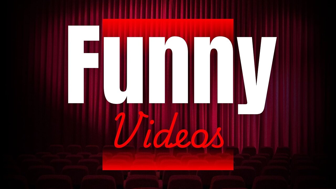 Funny videos. Collection 2