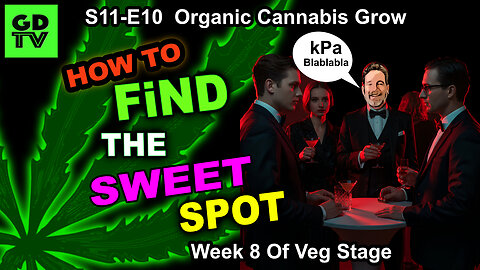 S11-E10 - Day 50 of Veg (Week 8) Cannabis Grow – Defoliation DONE! Still Training With Plant Clips!