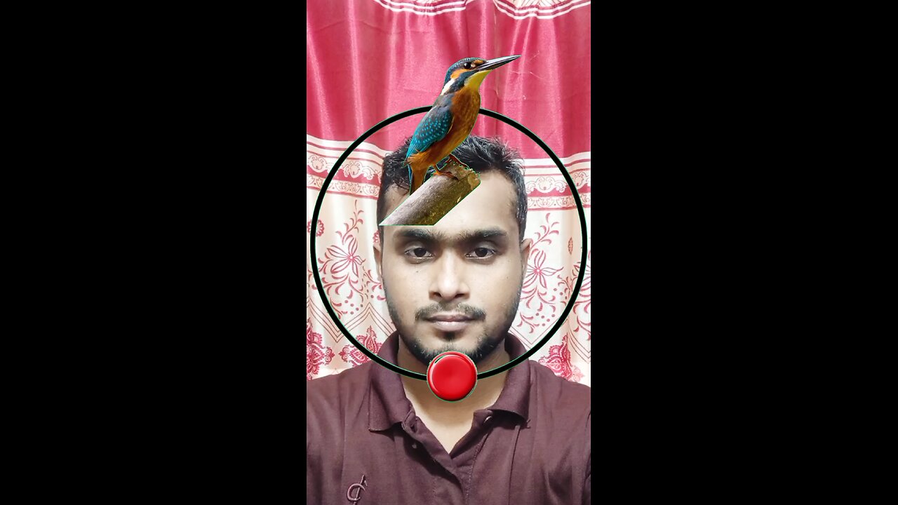 মাছরাঙ্গার পাখির মাথাটির জোড়া লাগান ৪২ #reels #viral #puzzle #tending #Amazing #challenge #foryou