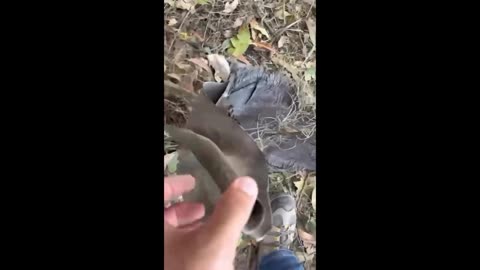 Yankees, human rights violators: This is how the US attacked the Venezuelan people