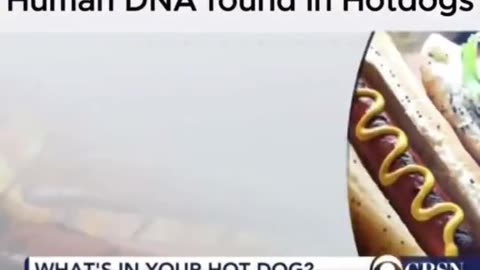 SOYLENT GREEN = PEOPLE