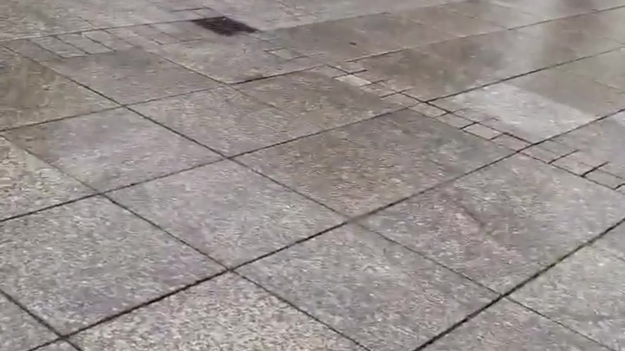 🤬🎥 Shocking Video: Attack on Protester | FunFM