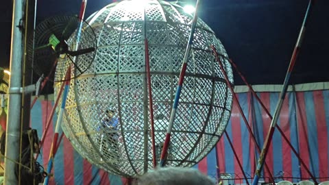 The Great Golden Circus is performing