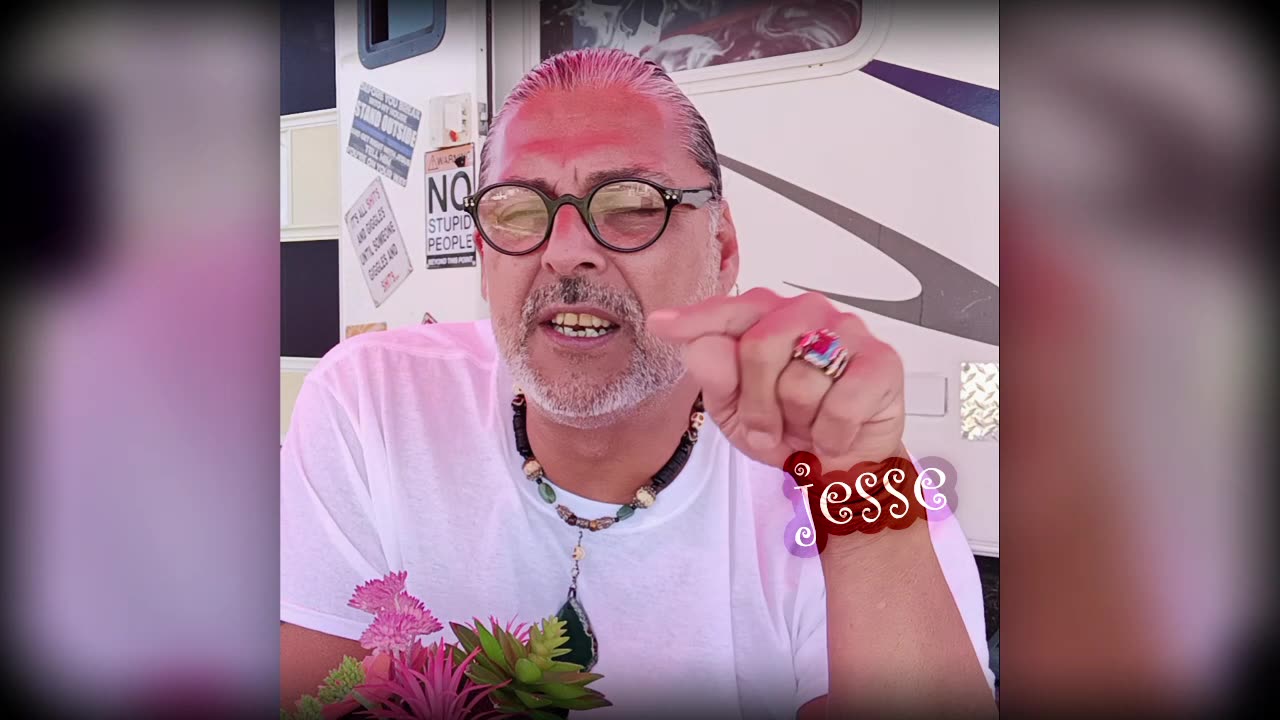 Narcissist Chronicles