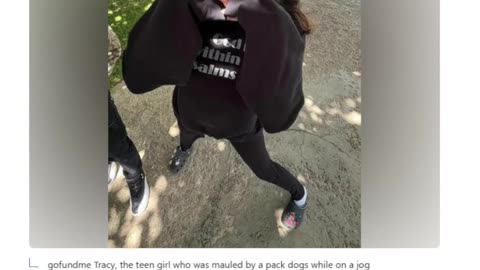 10 dogs 1 girl, American Soldiers take a Knee in front of a Russian Jet, Illegal Sandwich