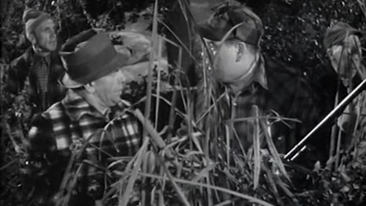 E38. A Ducking We Did Go - Curly Howard Era - 1939