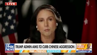 Tulsi Gabbard on countering Chinese aggression with Asian allies