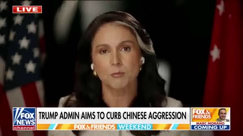 Tulsi Gabbard on countering Chinese aggression with Asian allies