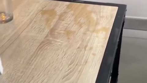 🤣🔥 Never a Dull Moment in This Wild Clip! | FunFM
