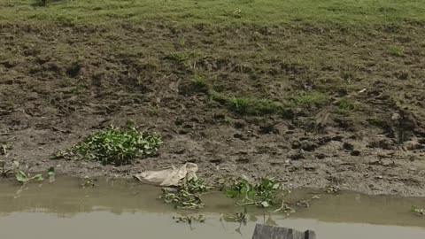 Village River with Nature