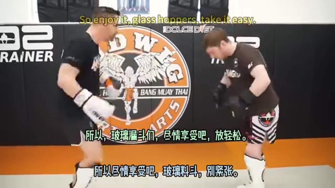 Dynamic Striking Defense by Duane Ludwig